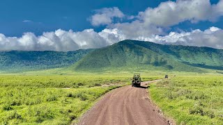 Não faça Safari na África sem antes ver esse vídeo!