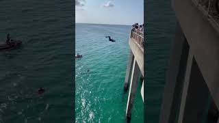 Lady Jumps Face First Into Water With Shark 👀 #shorts