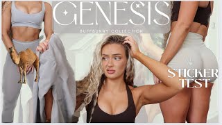 BUFFBUNNY COLLECTION GENESIS REVIEW | Activewear Try on haul 2024, BBL seamless leggings worth it?