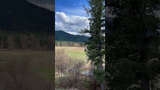 Time Lapse - Day Two Hundred and Nineteen at the Ranch, April 12, 2024