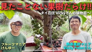 【タイの果樹】チェンマイでとても珍しい熱帯果樹を育ててるVickyさんのところへ遊びに行ったら．．．