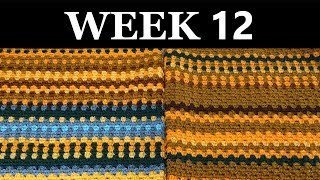 2023 Crochet Temperature Blanket Update Week 12