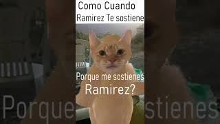 Ramirez Gato | Memes En 33 Segundos #ramirez #quetachendoramirez #gatomemes #en33segundos #axlbv