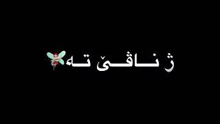 أجمل كرومات اغاني كردية 2021// خوشترين كرومات كوردي 2021 شاشه سوداء // حالات واتس اب حب حزين 2021