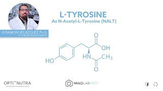 N-Acetyl L-Tyrosine with Dr. Ramon Velazquez, Ph.D. | Mind Lab Pro®