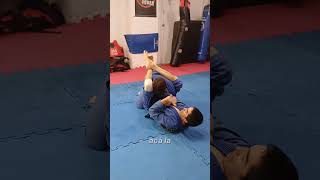 Arm lock desde close guard