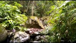 Gramado serra gaucha  duas horas perdidos na mata,  morcego namorando na palha , dia inesquecível