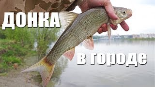 Ловля на донку с кормушкой с берега  | Рыбалка с Fishingsib