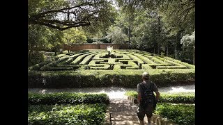 Govener's Palace Hedge Maze: Colonial Williamsburg