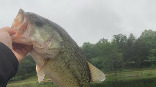 Bass Fishing Flooded Water Table Rock Lake