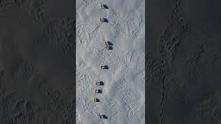 Caribous en déplacement - Baie James, Québec