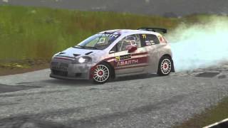 Sébastien Loeb Rally EVO / on-board / Alsace SS08 / production / Grande Punto S2000