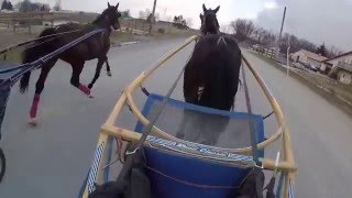 1 27 16 Two Year Old Training Part 1 GoPro