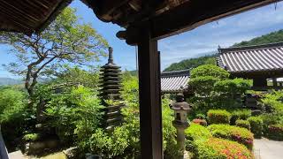 Shorin-ji Temple: Garden and view from the balcony (no sound ver.)