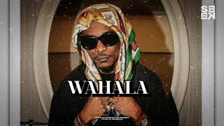 "WAHALA" | 1da Banton x Omah Lay x Victony Type Beat | Afrobeat Instrumental 2024 | [AFROBEATS]