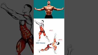 Full body Workout #fitness #gym  #workout#shorts #viral #motivation #biceps #triceps #back #explore