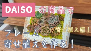 DAISOの商品でフレーム寄せ植えを作る！寄せ植え編！