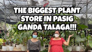 HALAMANAN SA PASIG TOUR: ANG GANDA NG GARDEN NILA!!!