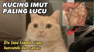 Si paling gemoy dan lucu