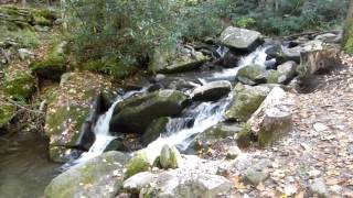 Roaring Fork Motor Nature Trail 2