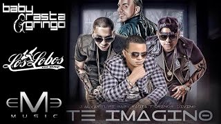 "TE IMAGINO" J Alvarez + Baby Rasta y Gringo + Divino (Official Song)