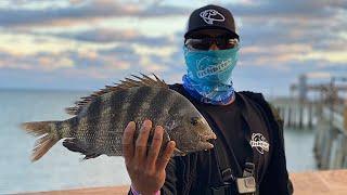 How to EASILY Catch Sheepshead on a Fishing Pier!