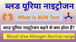 ब्लड यूरिया नाइट्रोजन या बीयूएन टेस्ट क्या है? BUN test in hindi