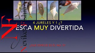 Pesca muy Divertida