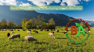 Unlocking Organic Innovation: Rocky Mountain BioAg™ - Your Partner in Sustainable Agriculture