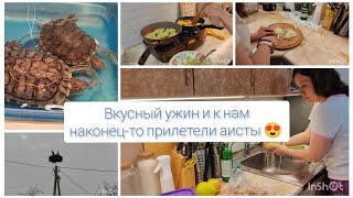 Вкусный ужин и к нам наконец-то прилетели аисты! 😍