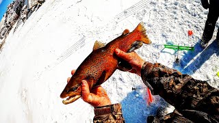 Sub-zero Ice Fishing - Cut throat Bites GoFish Camera - Setting up Clam C890 - Aqua-Vu 5.0 footage