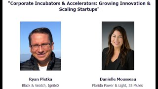 Incubators & Accelerators: Growing Innovation & Scaling Startups