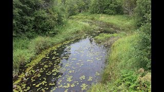 По родным местам: Костромская область