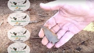 Alabama Arrowhead Finds - June 2012