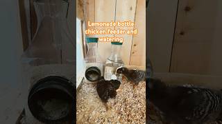 Lemonade bottle baby chicken feeder and watering. #chicken #chickencoop #smallfarm #homestead #feed