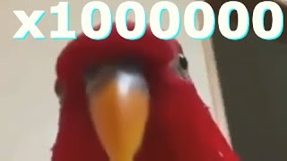 Red bird meme WueWueWue x1000000 speed