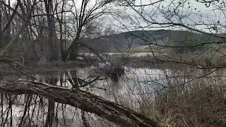 Lo Splendido Parco Regionale di Colfiorito