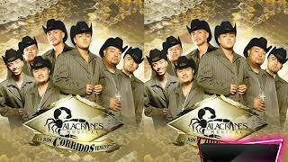 Alacranes Musical Álbum Puros Corridos Venenosos