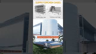 Supply battery chicken cage from China. #eggproduction #chickencage #poultryfarmbusiness