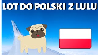 Lot do POLSKI z LULU ✈ LOTNISKO w Maladze ✈