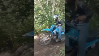 os pirados ✊🔥! #trilheirosdobrasil #viral #2rodas #braap #shortvideo #offroad #crf230 #motorcycle