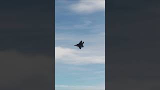 INCREDIBLE F22 RAPTOR ANTI AIR AVOIDANCE!! #f22 #dcs #shorts #milsim #gaming