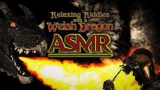 Riddles with a Welsh Dragon ASMR 🏴󠁧󠁢󠁷󠁬󠁳󠁿 Relaxing Fantasy Roleplay for quiet Knights