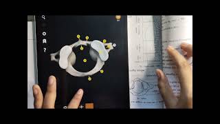 1ST CERVICAL VERTEBRAE : ATLAS DRAWING WITH 3D DIAGRAM EXPLANATION