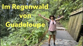 Im Regenwald von Guadeloupe