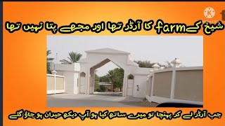 talabat delivery vlog3 shaikh  kay Farm py delivery