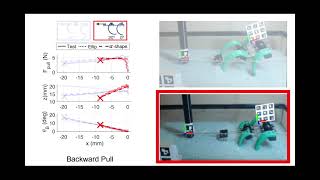 Walk-Burrow-Tug: Experiments and Demo