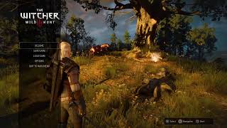 The Witcher 3 - Campaign