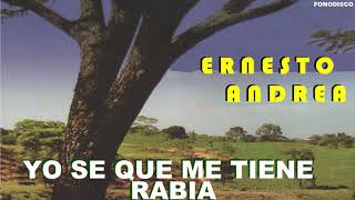 Yo Se Que Me Tiene Rabia  -  Ernesto Andrea