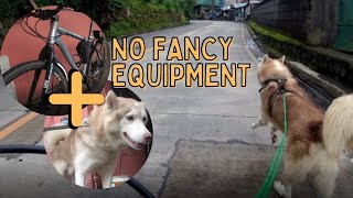 Bikejoring - Dog pulls me on my bike